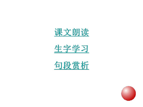 四年级语文小珊迪