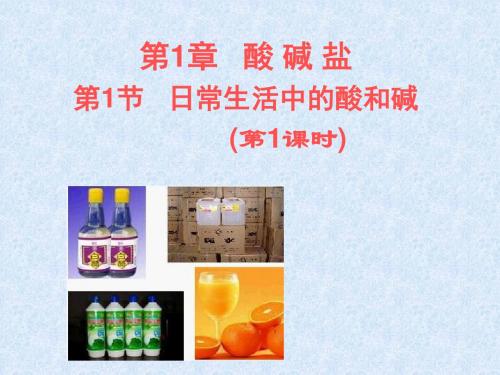 九年级科学日常生活中的酸和碱1(教学课件2019)