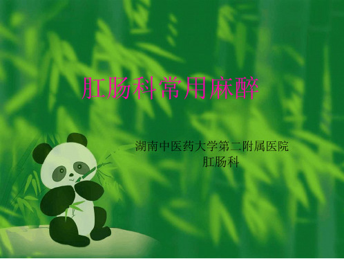 肛肠科常用麻醉