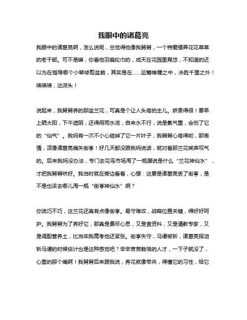 作文《我眼中的诸葛亮》