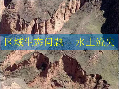 水土流失---微专题 (17张PPT)