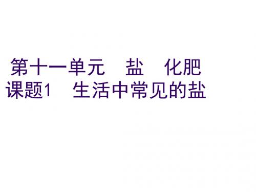 九年级化学生活中常见的盐