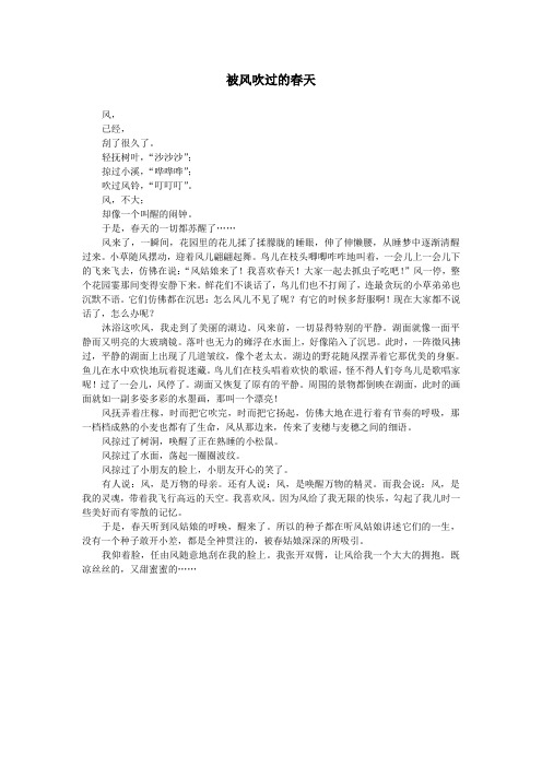 被风吹过的春天