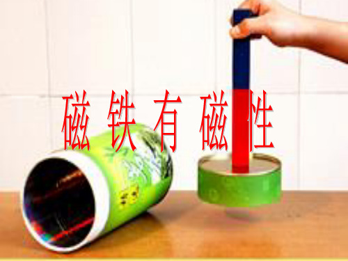 磁铁有磁性课件