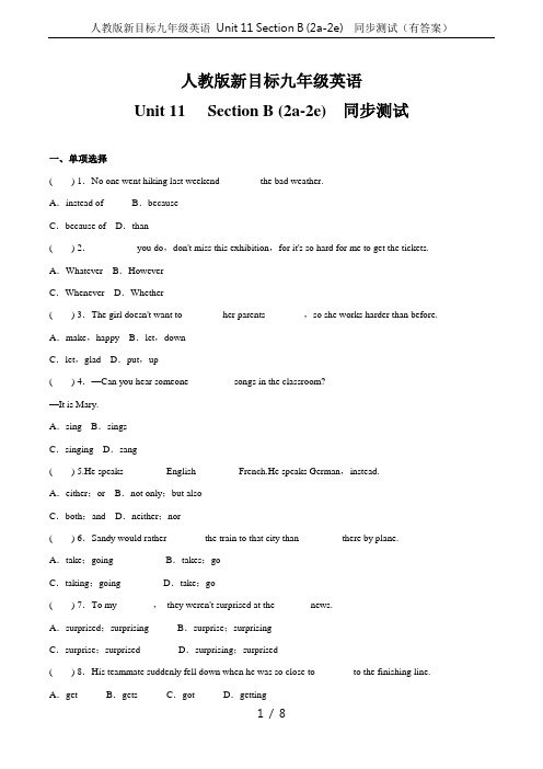 人教版新目标九年级英语 Unit 11 Section B (2a-2e)  同步测试(有答案)