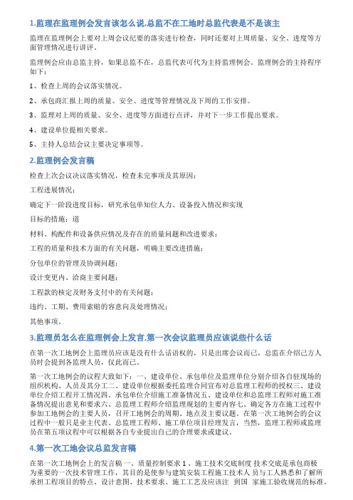 监理例会总监发言稿