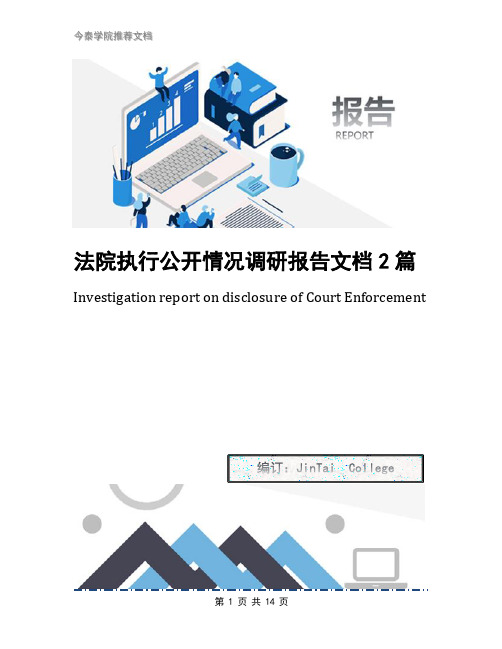 法院执行公开情况调研报告文档2篇