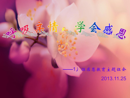 《呼吸亲情学会感恩》主题班会PPT课件