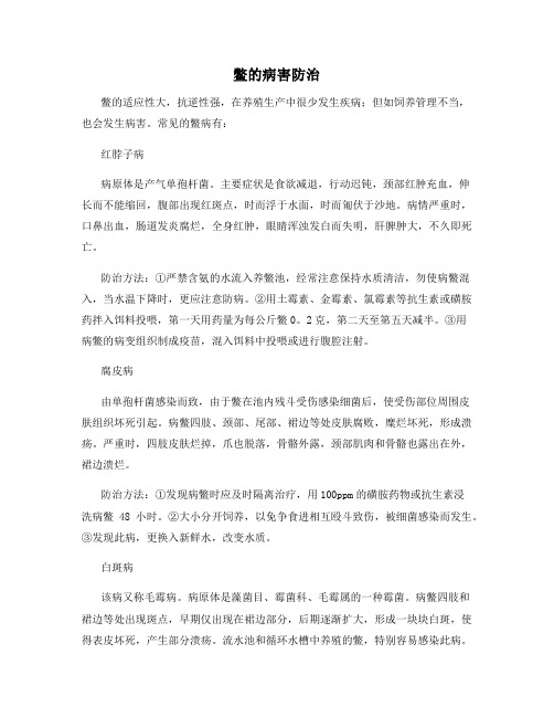 鳖的病害防治