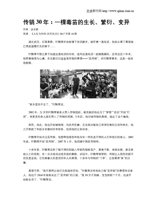 传销30年：一棵毒苗的生长、繁衍、变异
