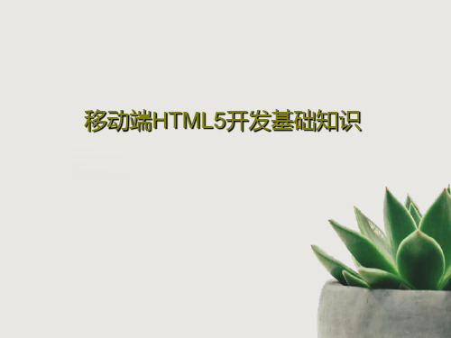 移动端HTML5开发基础知识PPT共37页