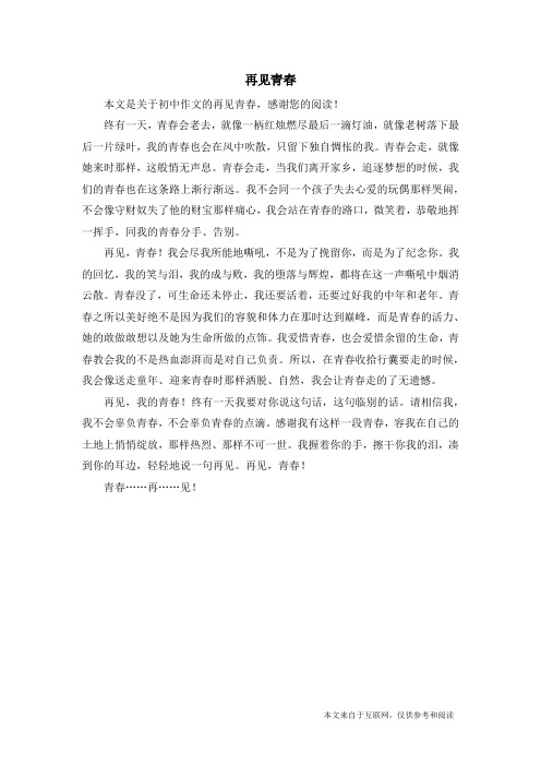 再见青春_初中作文