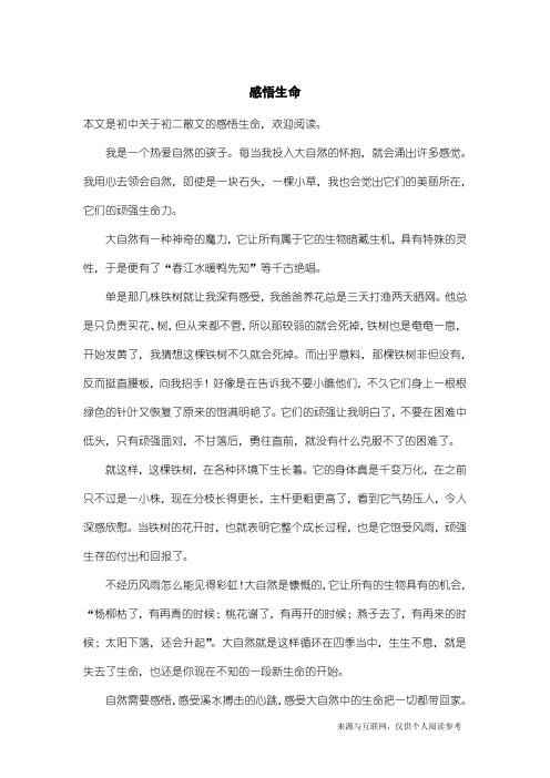 初二散文：感悟生命