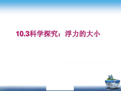 浮力的大小