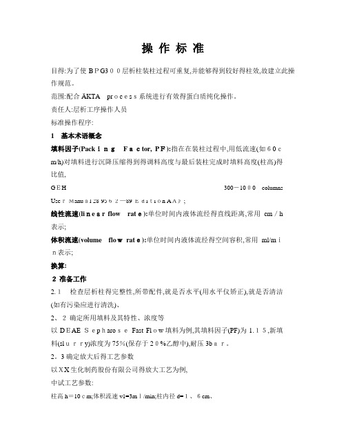 BPG 层析柱标准装柱流程规范