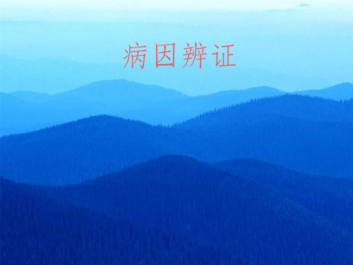 《病因辩证》PPT课件