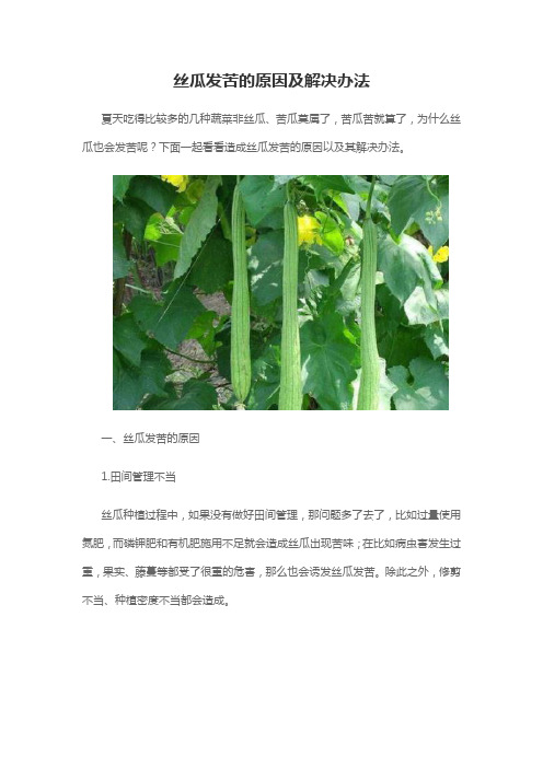 丝瓜发苦的原因及解决办法