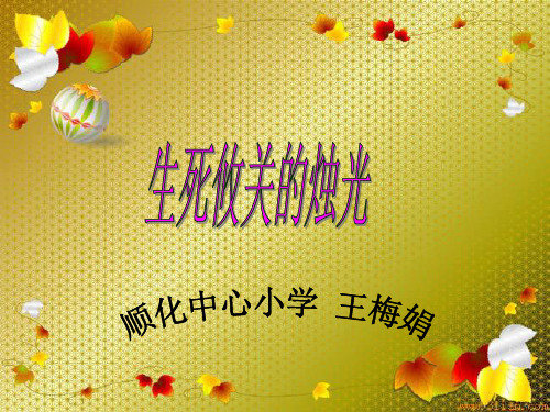 北师大版语文第九册《生死攸关的烛光》PPT课件3   大赛获奖精美课件PPT