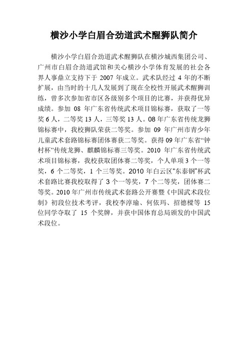 横沙小学武术队简介及近期获奖