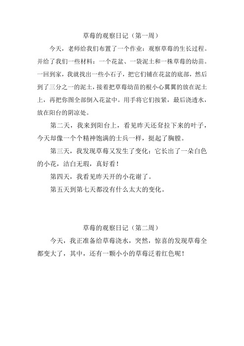 草莓日记