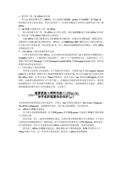 cDNA文库构建简易流程