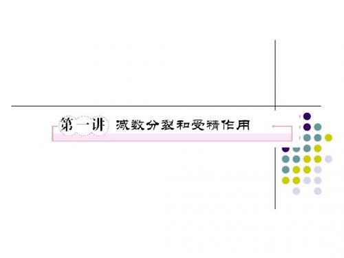 必修二2-1减数分裂和受精作用