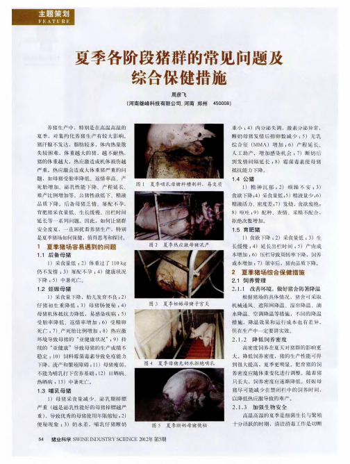夏季各阶段猪群的常见问题及综合保健措施