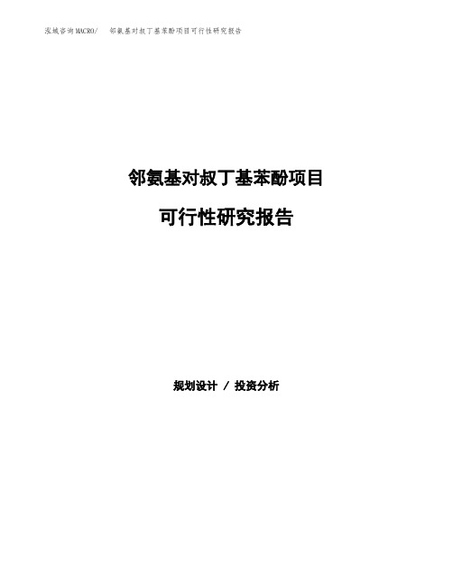 邻氨基对叔丁基苯酚项目可行性研究报告发改委立项模板