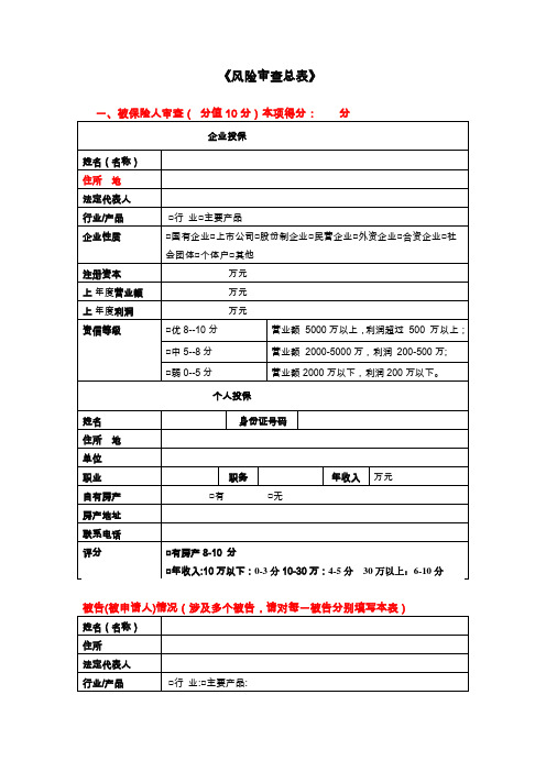 风险审查表