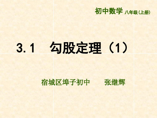 初中数学苏科版八年级上册3.1 勾股定理