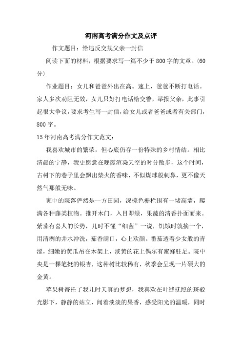 最新河南高考满分作文及点评