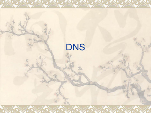 DNS协议详解ppt课件