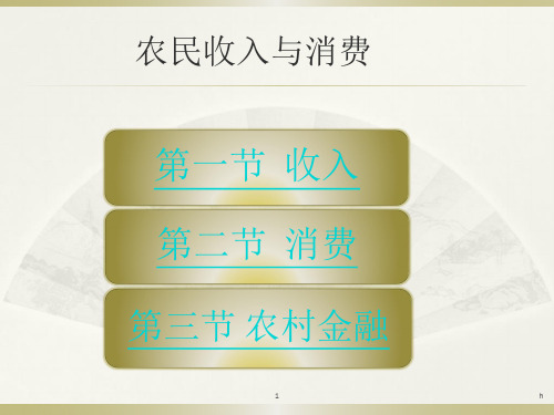 《农民收入与消费》PPT课件