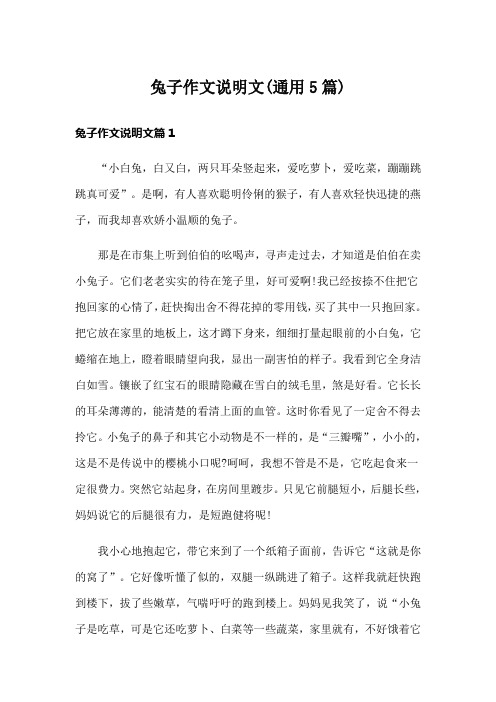 兔子作文说明文(通用5篇)