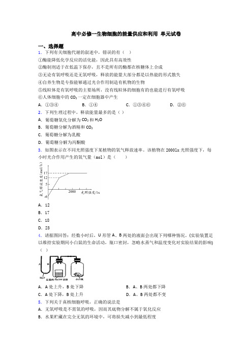 高中必修一生物细胞的能量供应和利用 单元试卷