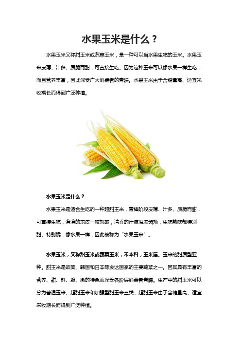 水果玉米是什么？