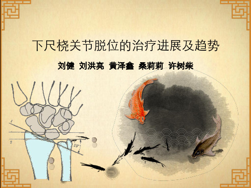 下尺桡关节脱位治疗进展及趋势
