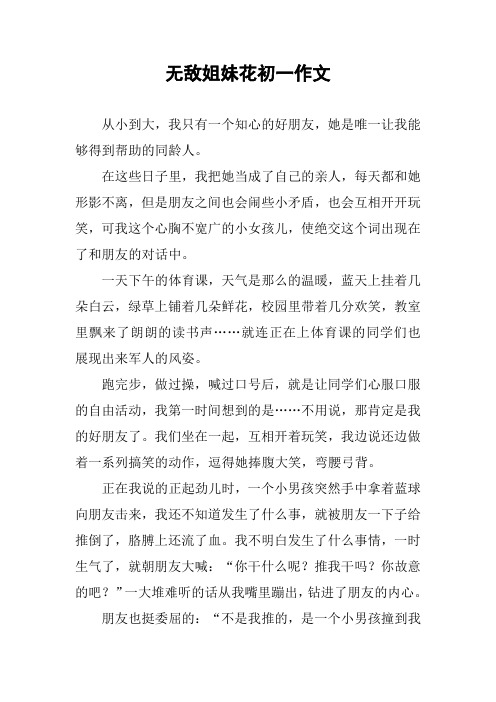 无敌姐妹花初一作文