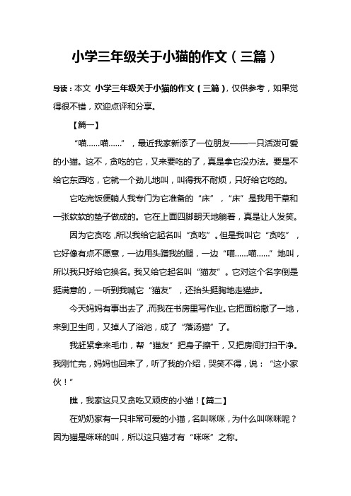 小学三年级关于小猫的作文(三篇)