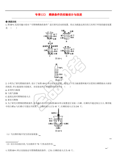 江苏省徐州市2019年中考化学专项复习 专项(三)燃烧条件的实验设计与改进练习