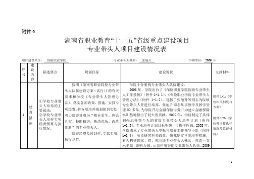 专业带头人项目建设情况表