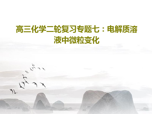高三化学二轮复习专题七：电解质溶液中微粒变化PPT共19页