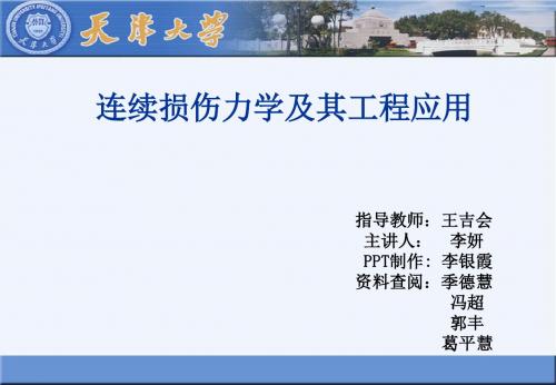 连续损伤力学报告