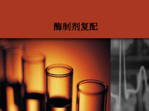 酶制剂复配ppt课件