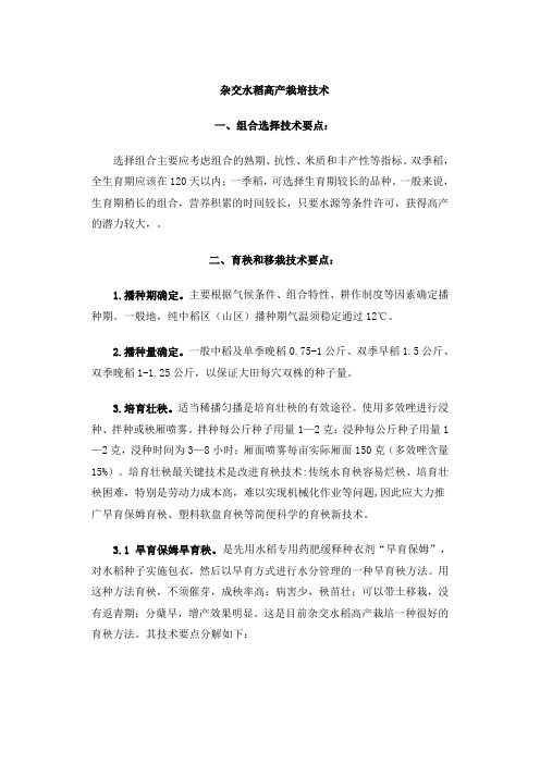 杂交水稻高产栽培技术