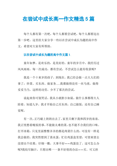 在尝试中成长高一作文精选5篇