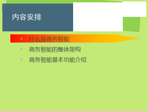 BI商业智能介绍PPT