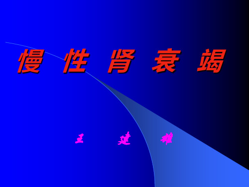 慢性肾衰竭112精品PPT课件