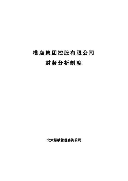 横店集团财务分析制度