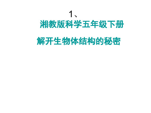 五年级下册科学课件-3.1 解开生物体结构的秘密(16)-湘科版